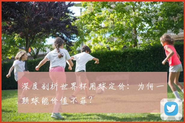 深度剖析世界杯用球定价：为何一颗球能价值不菲？