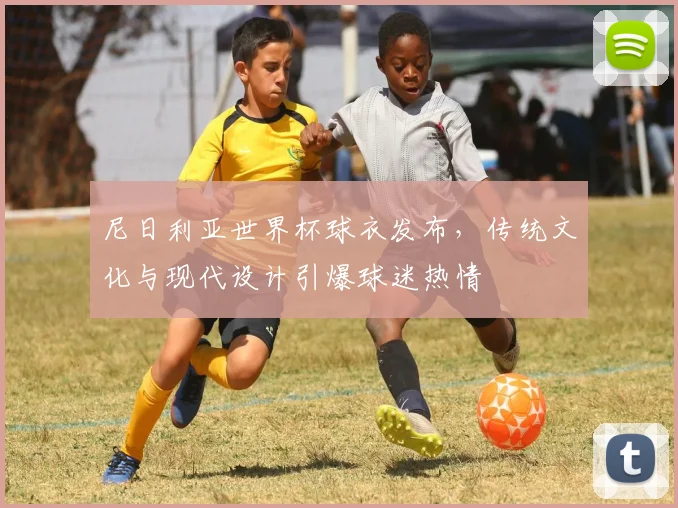 尼日利亚世界杯球衣发布，传统文化与现代设计引爆球迷热情